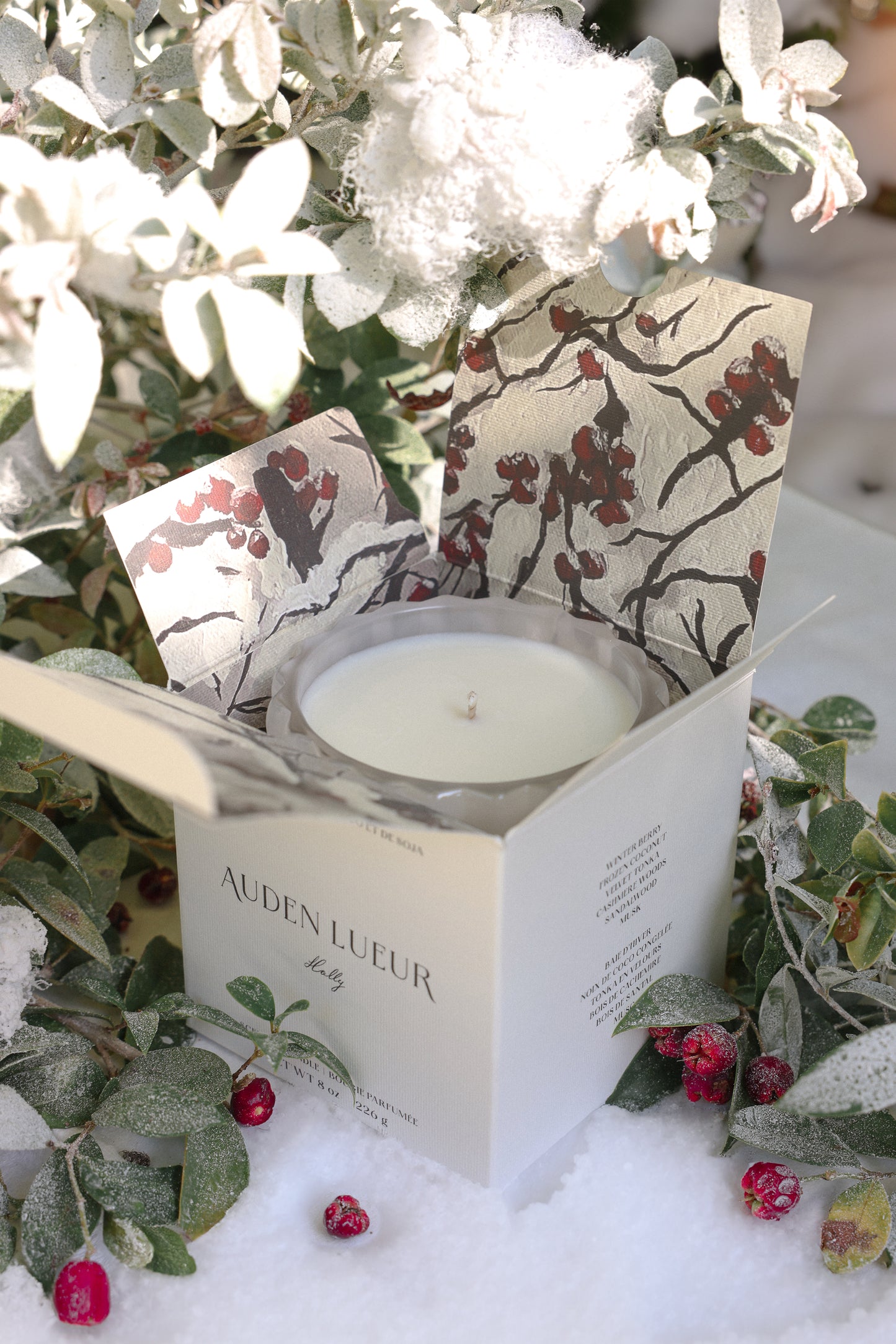 HOLLY | Textured Glass Scented Candle