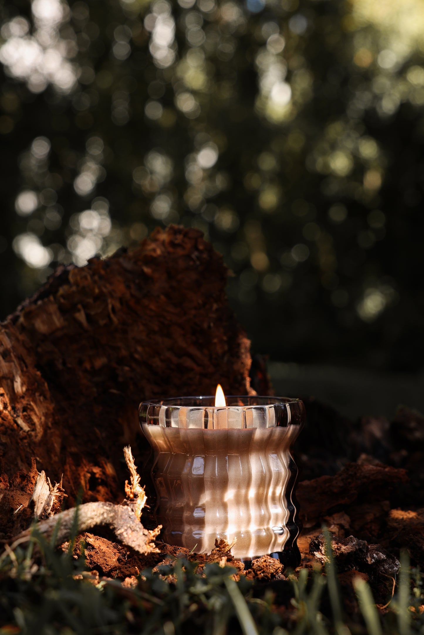 WILLOW | Non-Toxic Candle in Textured Glass Vessel